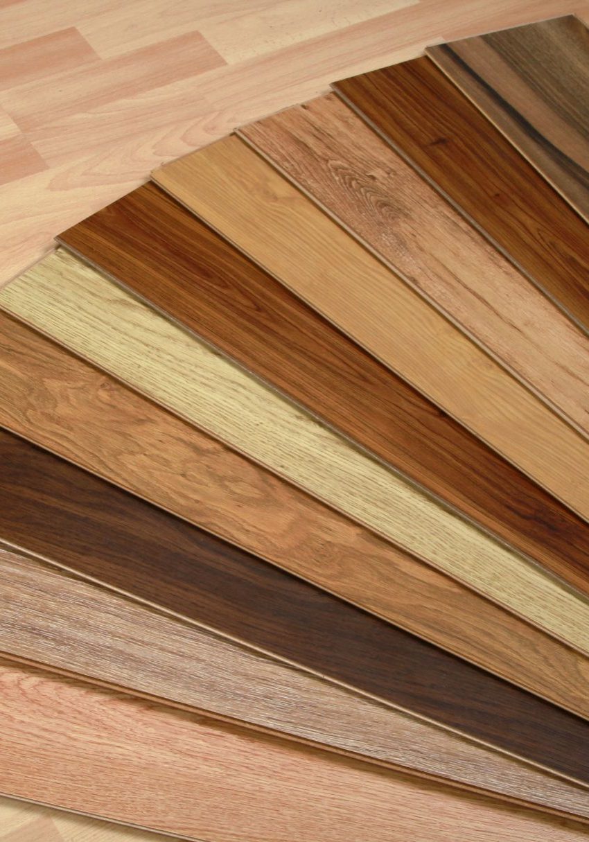 imgpsh_fullsize_anim (5) imgpsh_fullsize_anim (5)